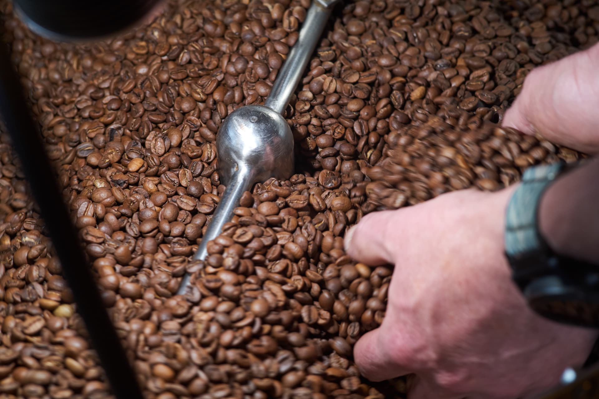 Hånd med skje i kaffebønner